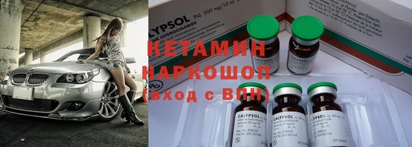 крисы Алзамай