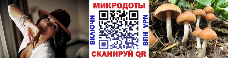 где найти Горбатов Галлюциногенные грибы ЛСД